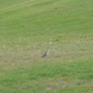 Meet your Posher, Deepthi